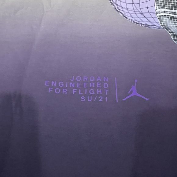 NIKE AIR JORDAN 23ENGINEERED STATEMENT FLEECE HOODIE CZ4816-383 Men Sz XL NWT - Picture 14 of 16